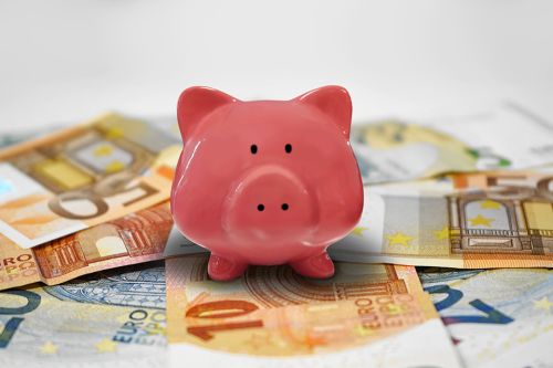 Foto: Sparschwein und Geldscheine